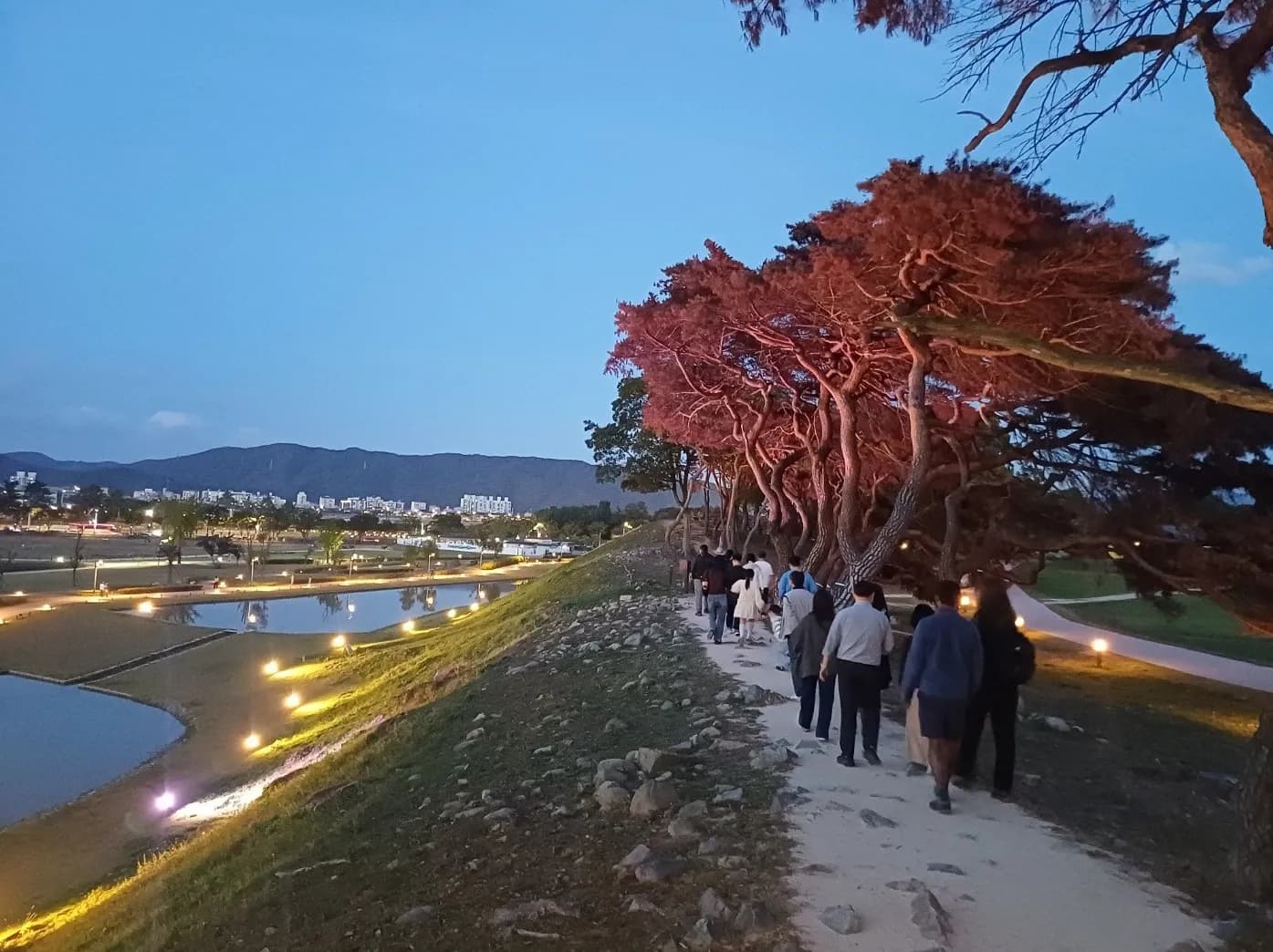 도심 야경 품은 국립공원, 밤의 문 연다…경주·북한산·팔공산서 시범 운영