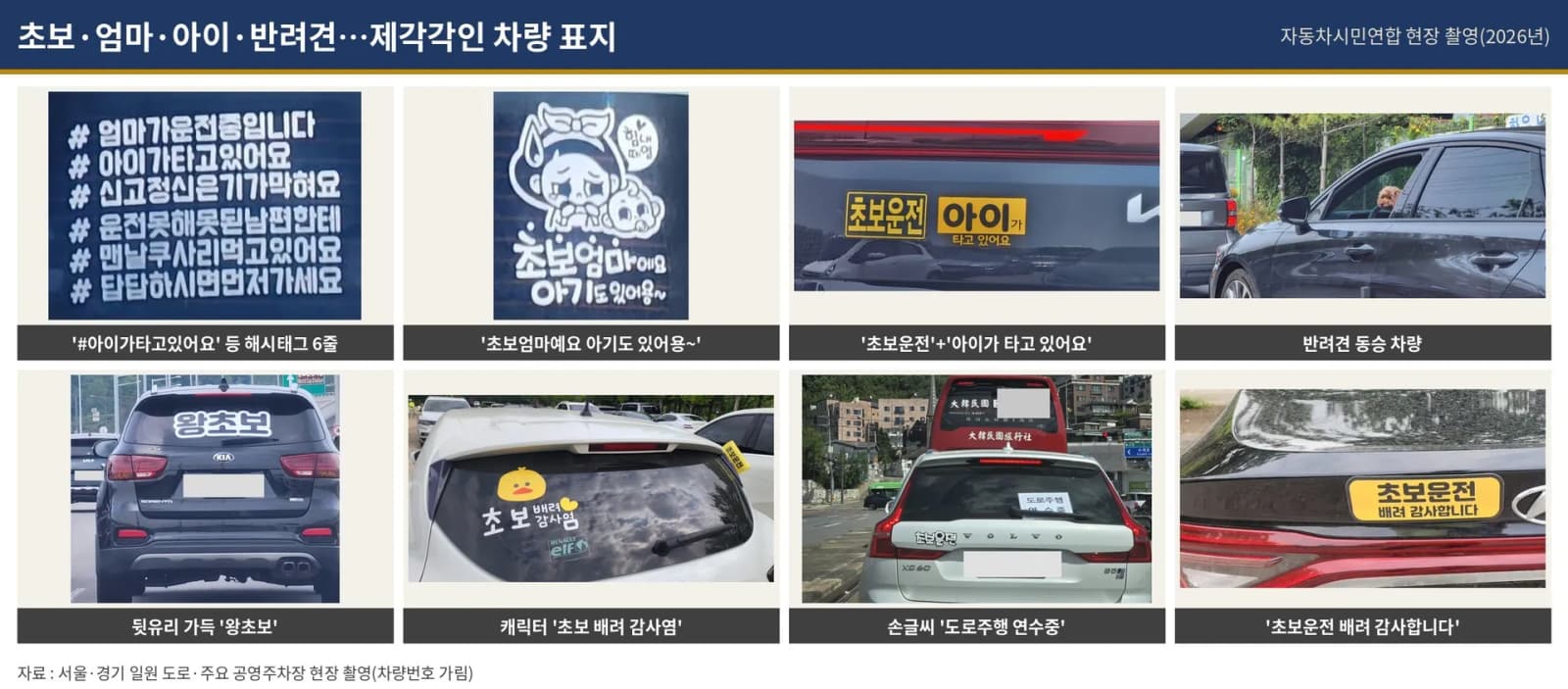 초보운전 스티커의 상업화와 안전 표지 기능 실종… 제도적 표준화 시급