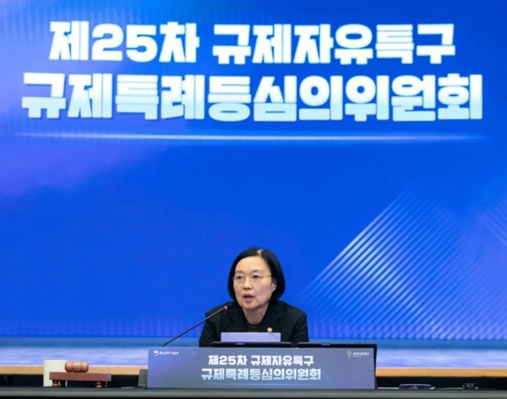 규제자유특구 조건 명확화 신기술 실증 부담 줄인다.png