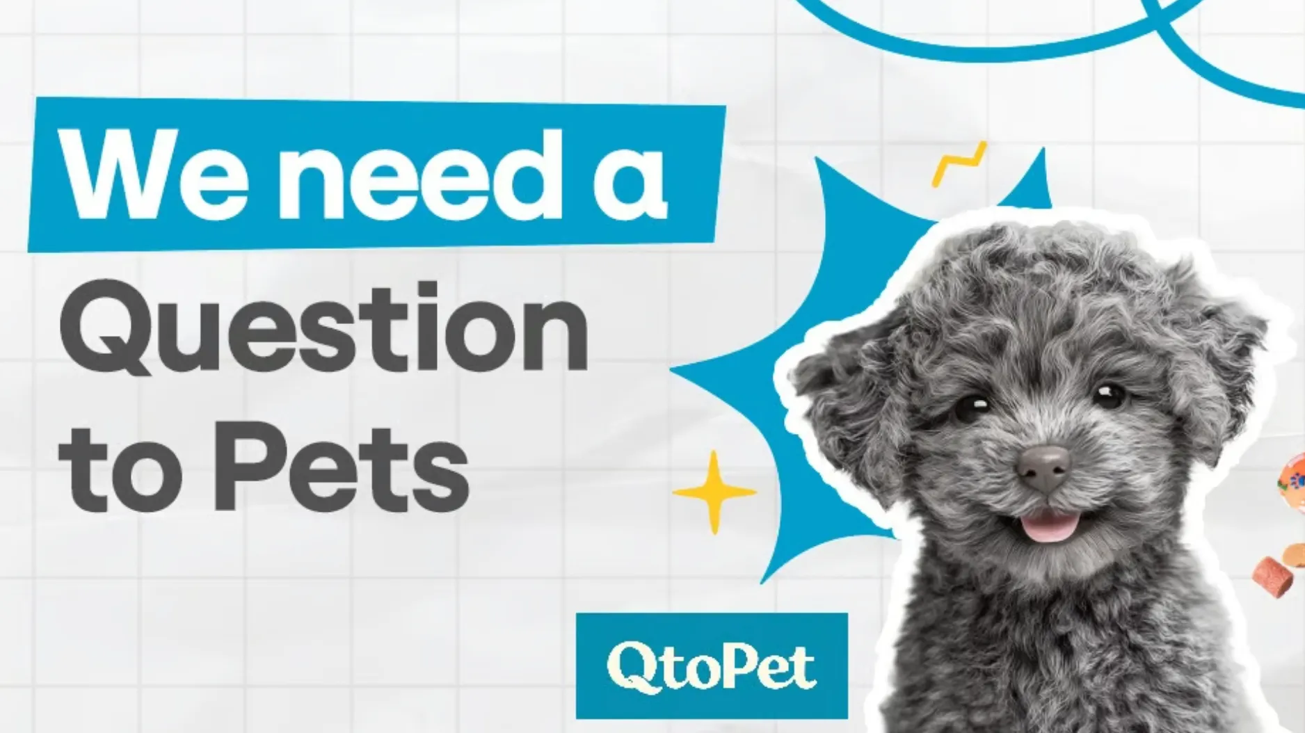 십일리터 hy 큐토펫에 AI 건강 분석 솔루션 공급.png